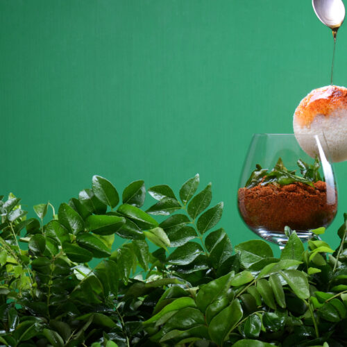 Curry leaf podi – illustrative food photograph Illustrative Curry leaf podi photograph, not actual Naativa Ruchi packaging